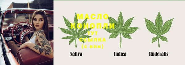 мет Алексин