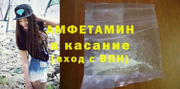 мет Алексин