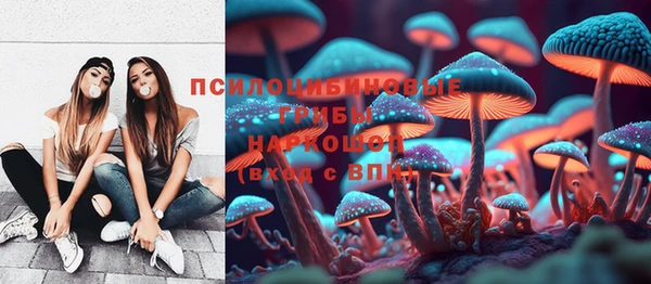 мет Алексин