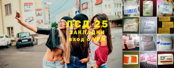 мет Алексин