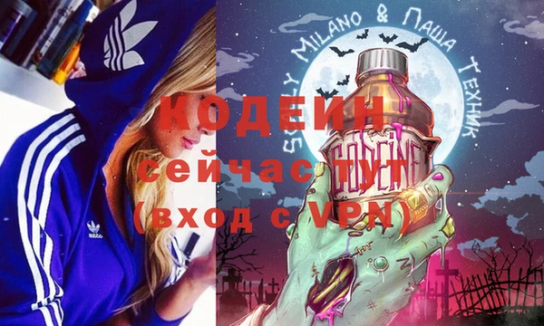 мет Алексин
