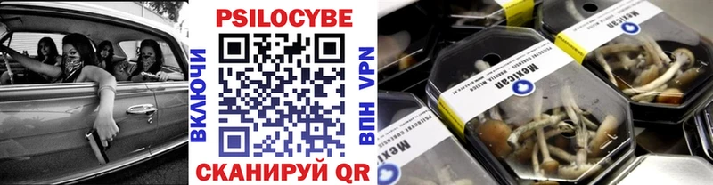 Псилоцибиновые грибы MAGIC MUSHROOMS  даркнет сайт  Каргат 