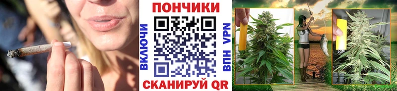 Бошки Шишки LSD WEED  сколько стоит  MEGA вход  Каргат 
